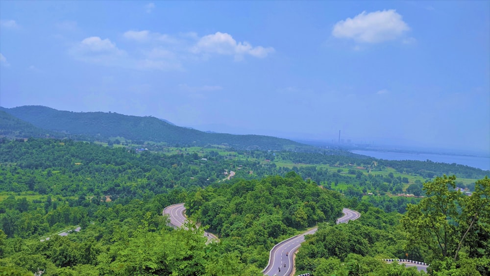 green trees on mountain during daytime