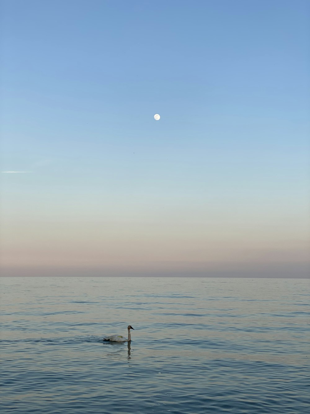 body of water under blue sky during daytime