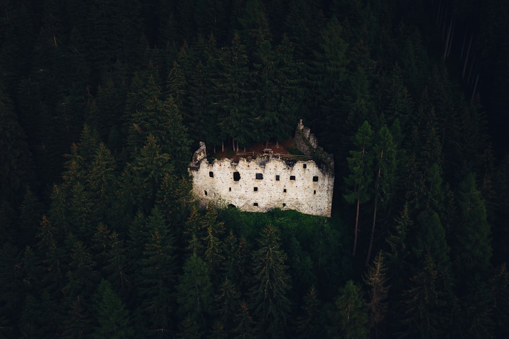 white concrete building in the middle of forest