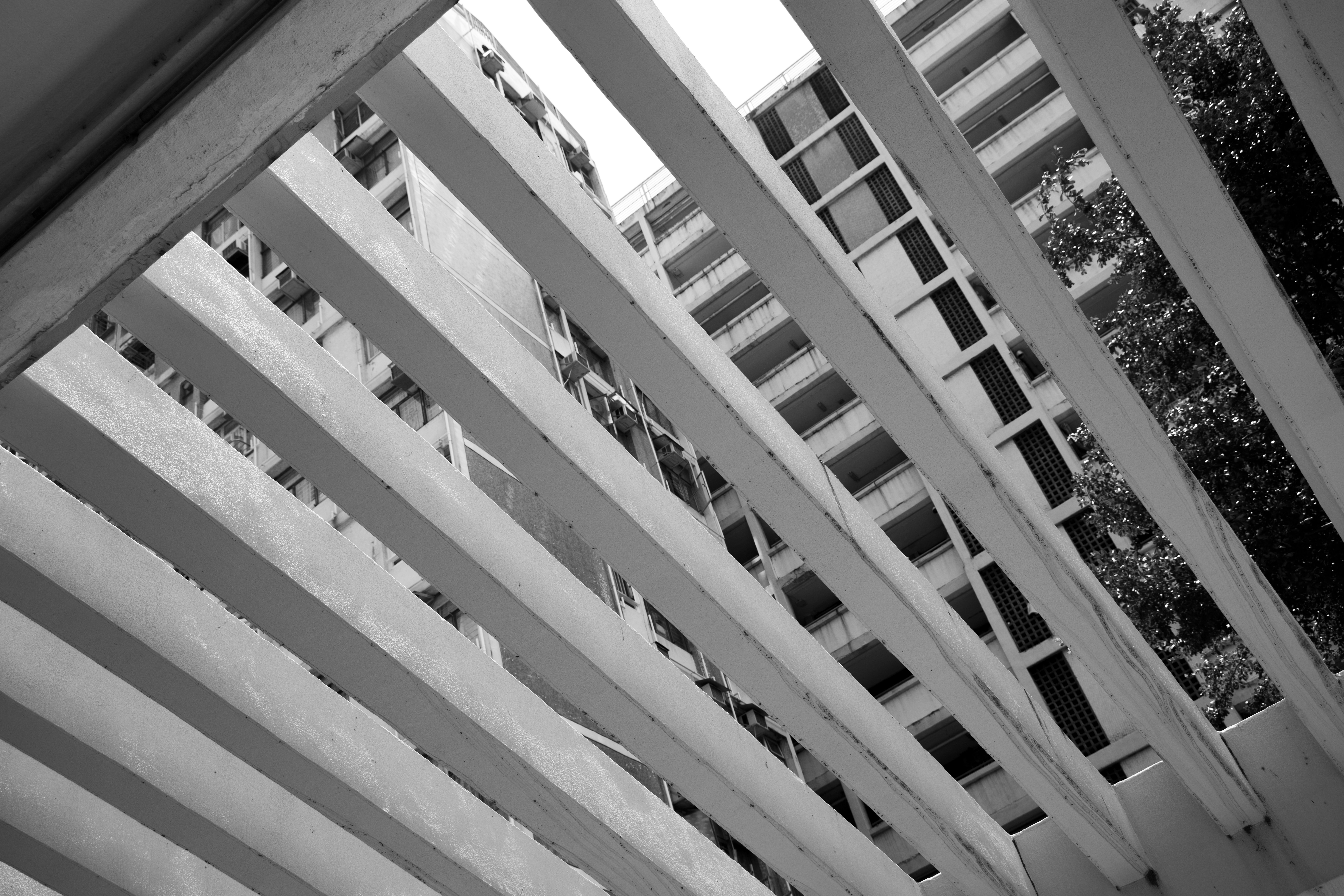 Image by Arron Choi via Unsplash