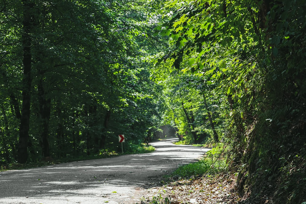 person in red jacket walking on gray asphalt road during daytime