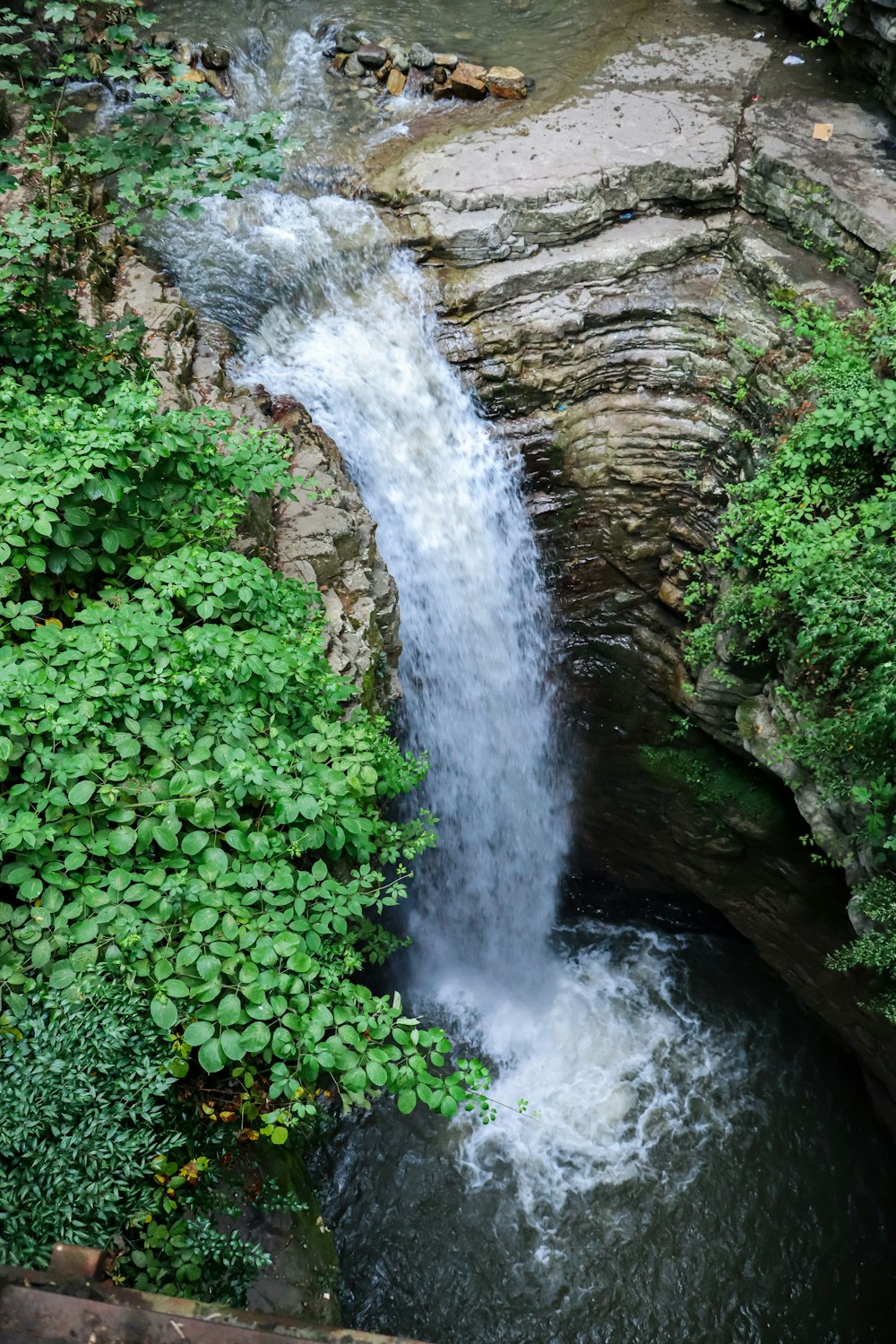 waterfalls in the middle of the forest