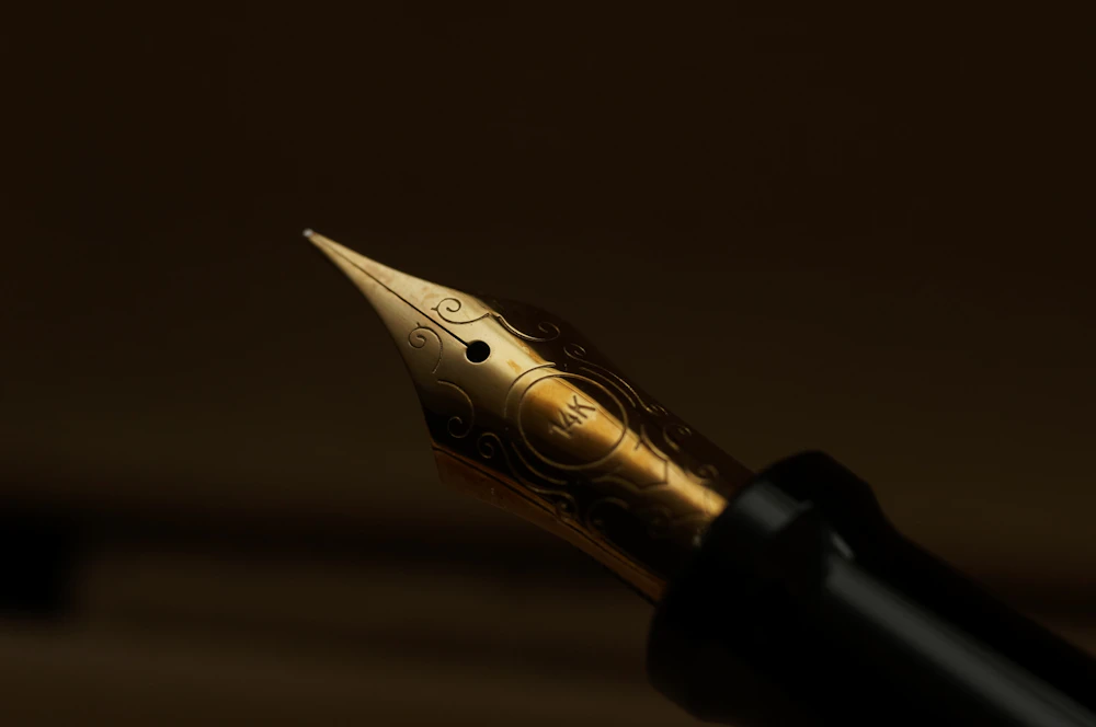 Fountain pen