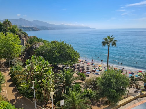 Costa del Sol beach near Marbella with palm trees and Mediterranean Sea