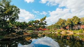 green trees beside river under blue sky during daytime