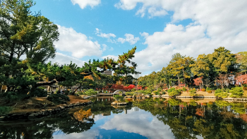 alberi verdi accanto al fiume sotto il cielo blu durante il giorno