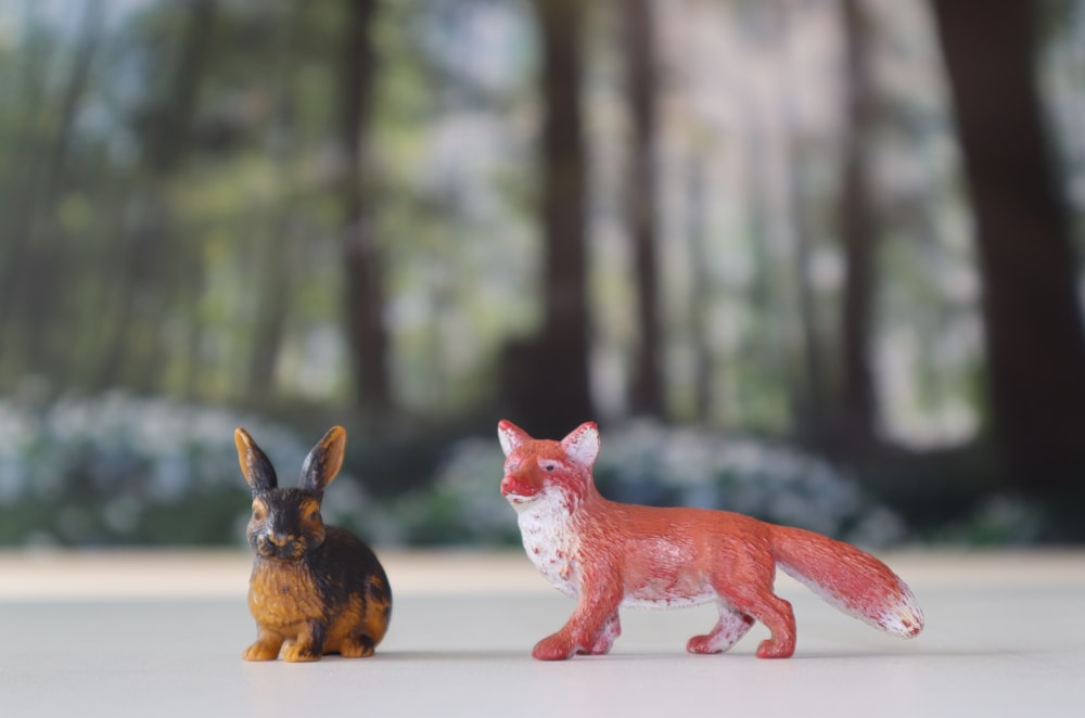 brown and black rabbit on brown wooden table