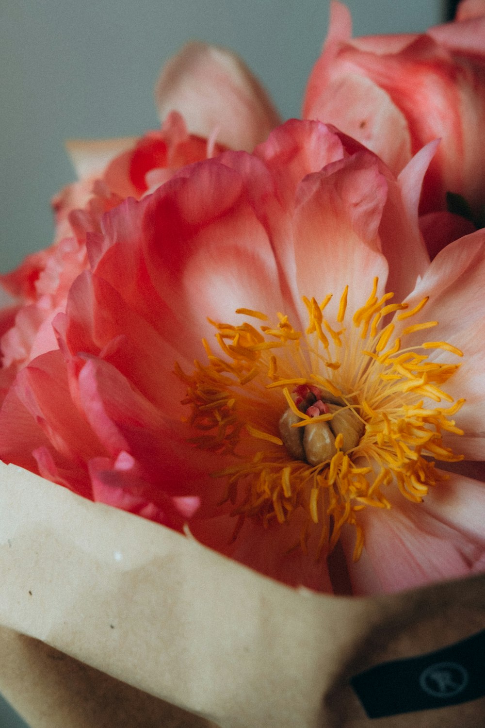 fleur rose et jaune sur table blanche