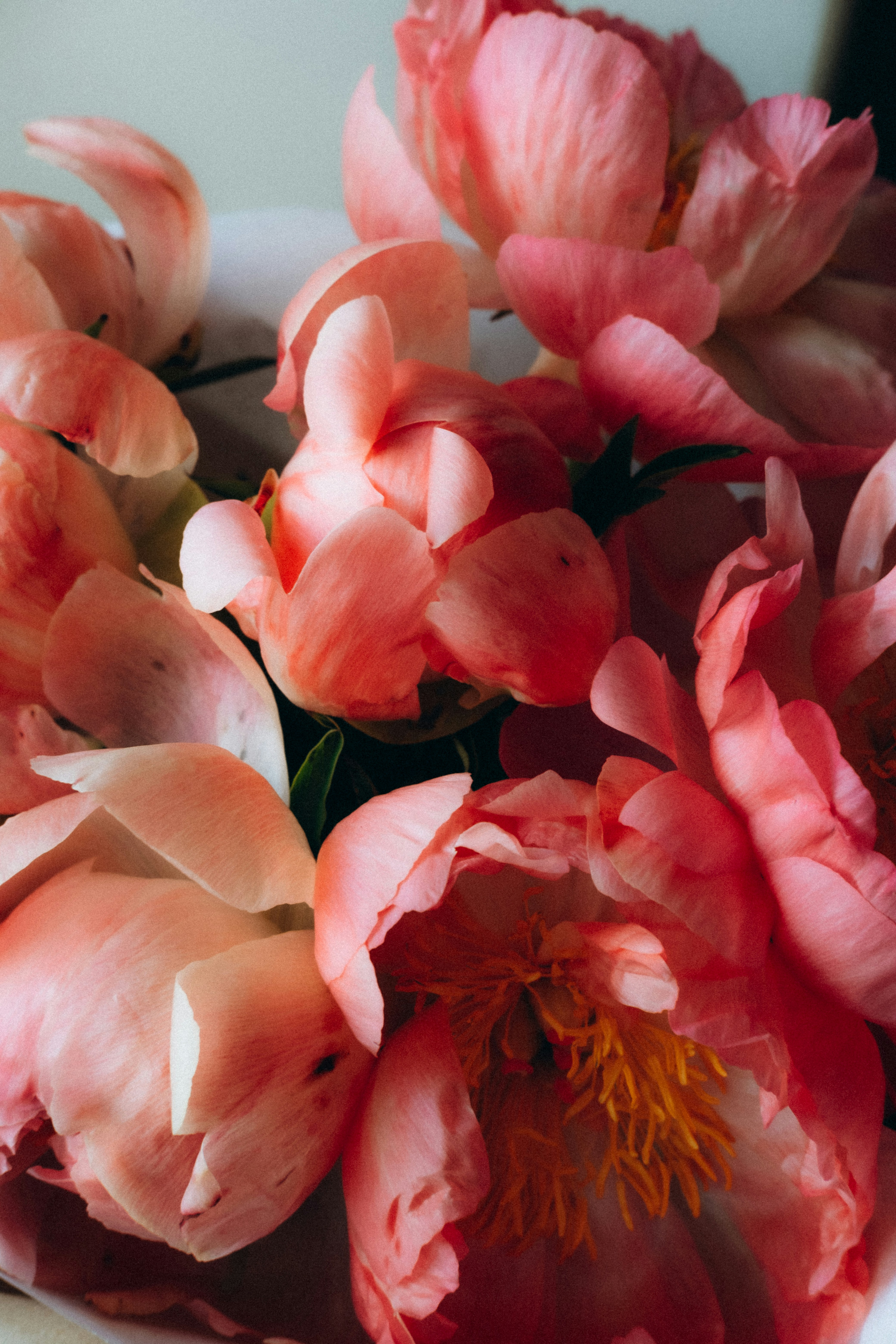 Photo by yana_hurska