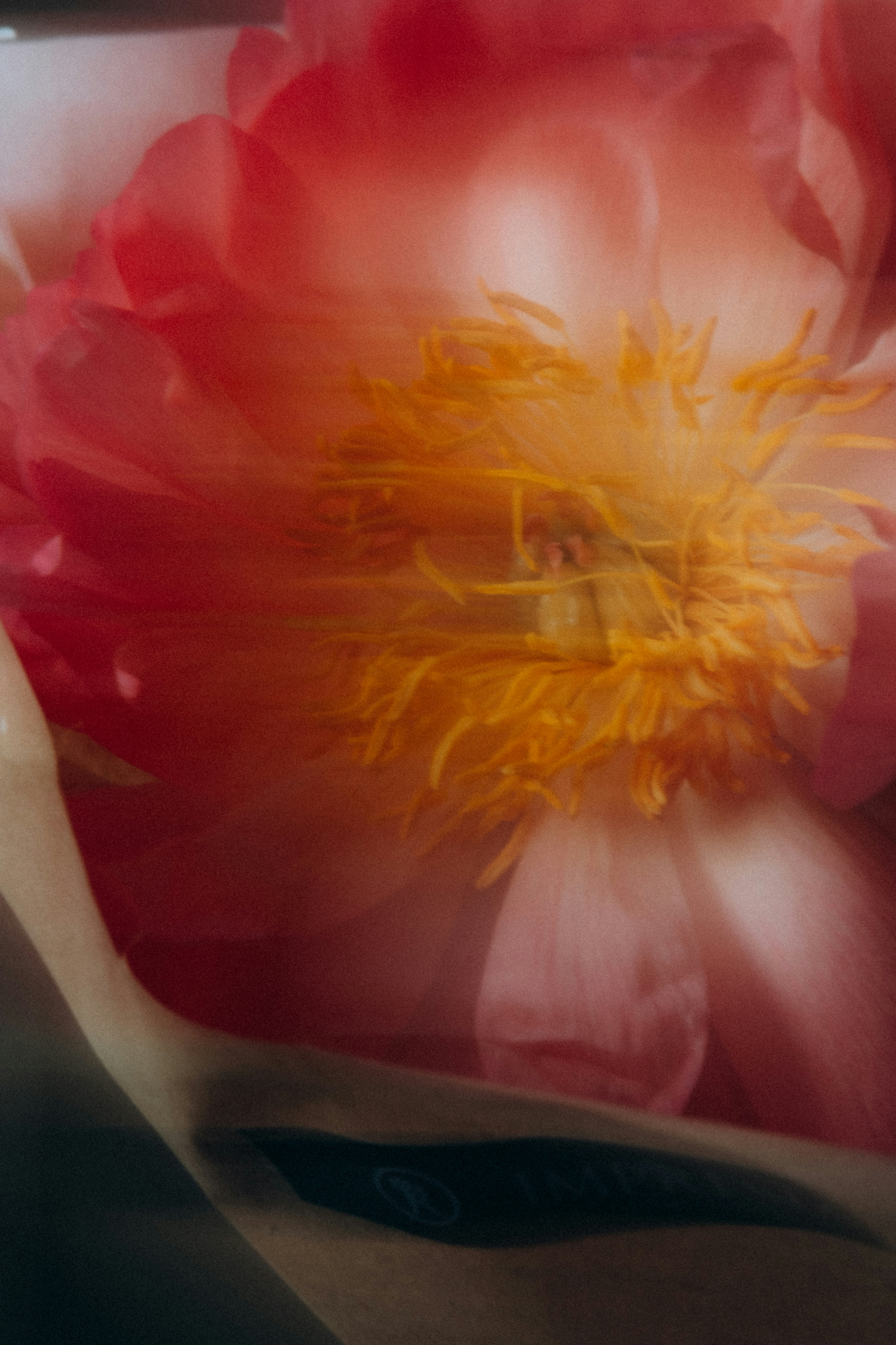 Photo by yana_hurska