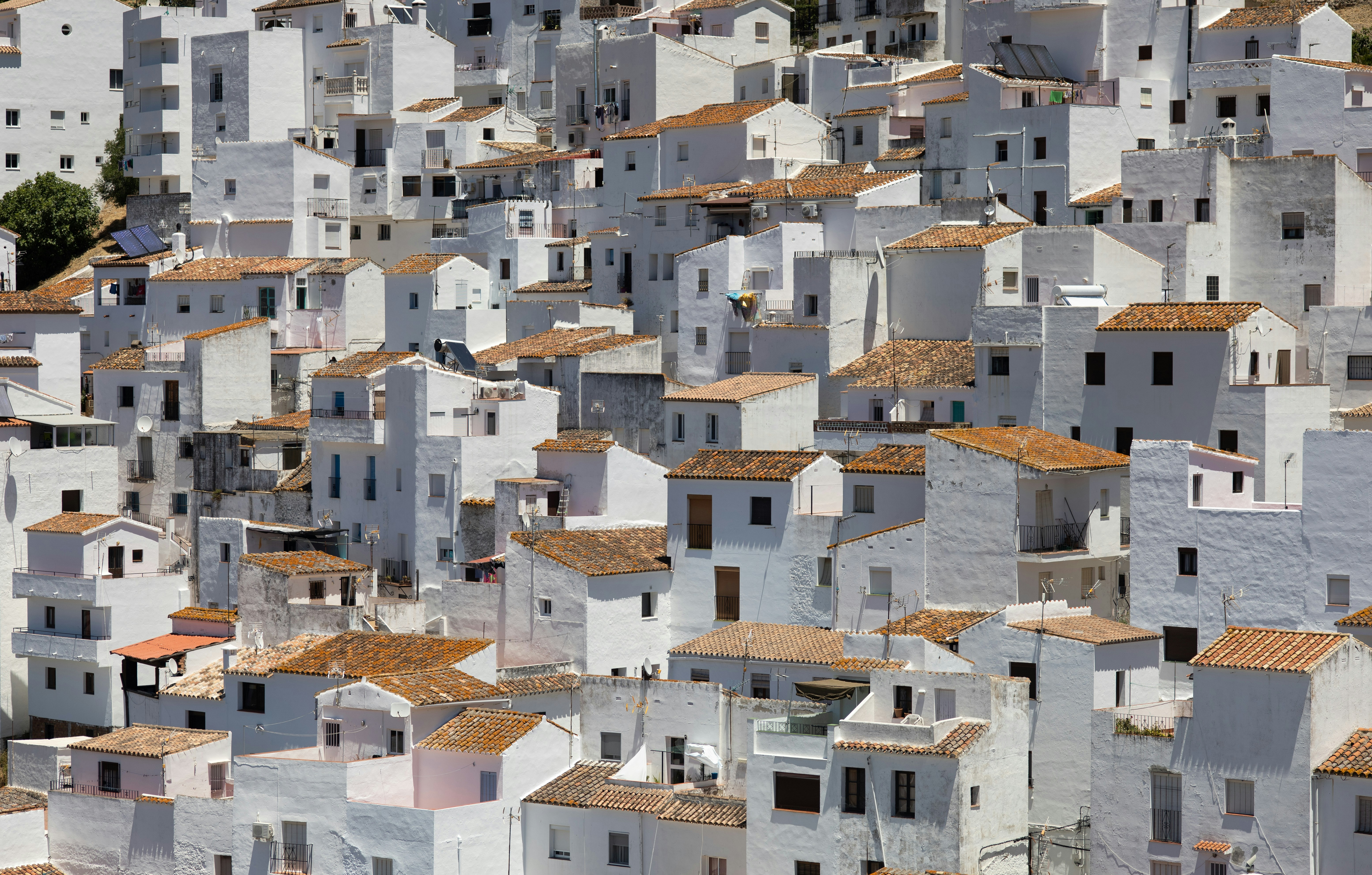 Photo by victor_vector