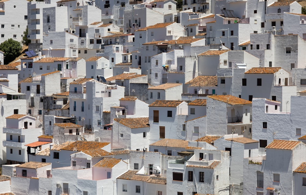 white and brown concrete houses during daytime