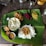 A traditional Indian meal served on a banana leaf, consisting of white rice topped with a lentil-based curry. Accompaniments include various vegetable dishes like beetroot and cabbage with lentils, a papadum, fried snacks, and a small dish of stew or curry. Salt is also placed directly on the leaf.