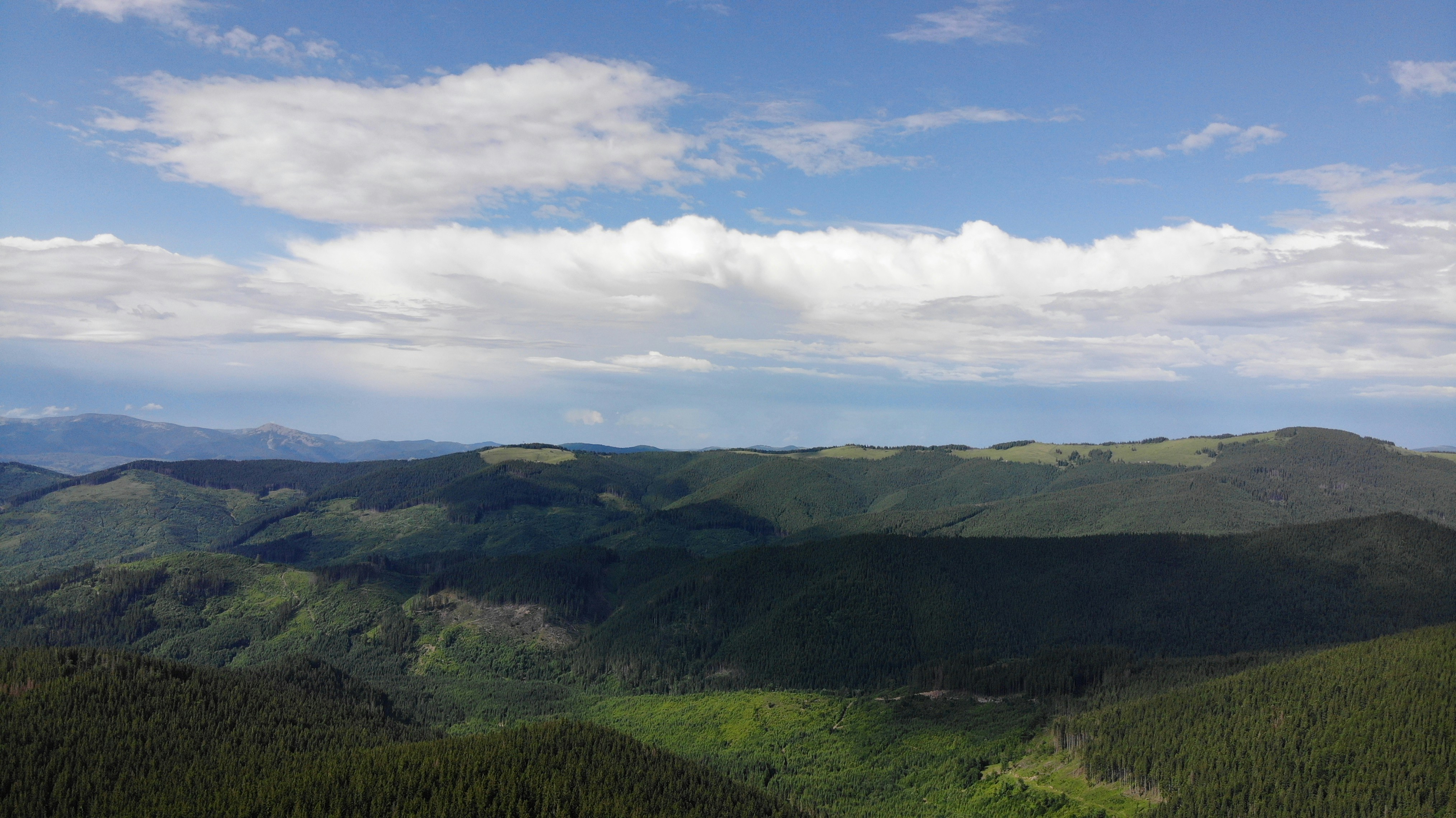 Photo by vasiliygalushko