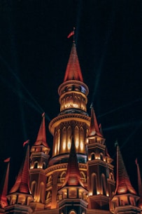 brown and black concrete building during night time