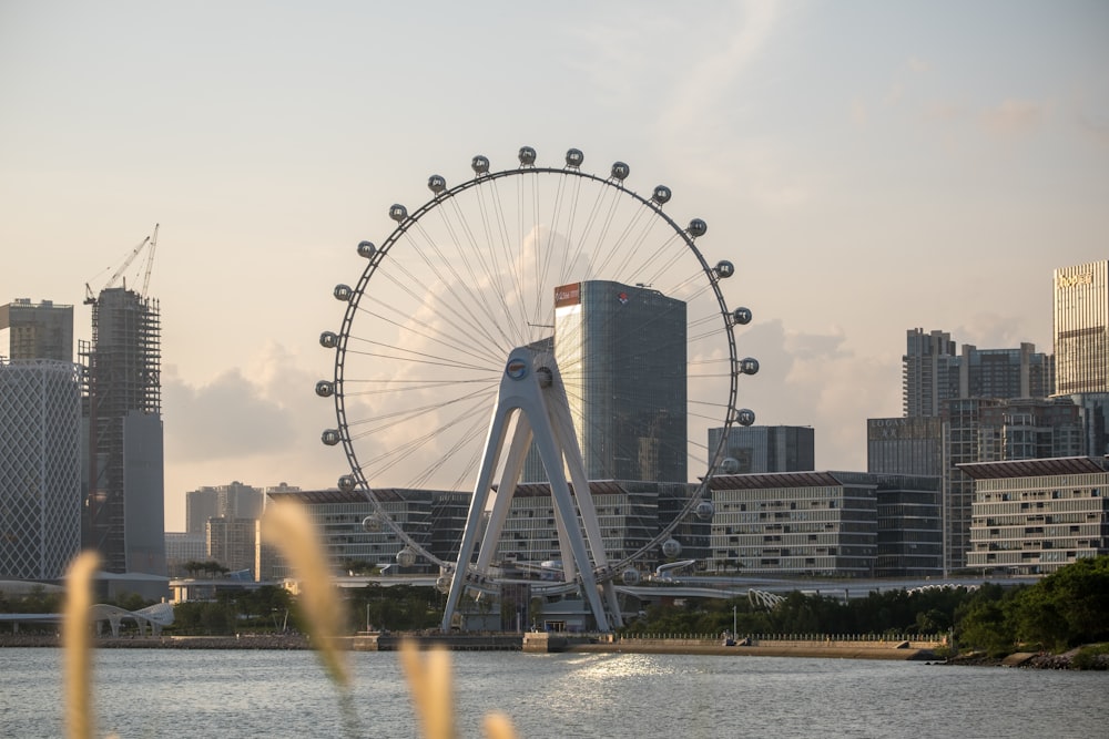 ferris wheel near body of water during daytime