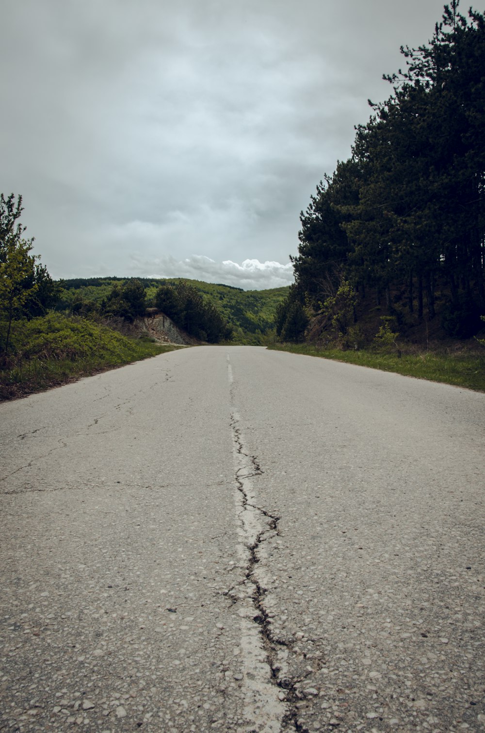 gray concrete road between green trees under white clouds during daytime