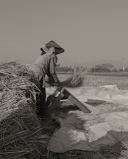 A person wearing a hat working in a field, engaged in threshing or processing crops. Surrounding the individual are bundles of straw and an inclined wooden apparatus that assists in the task. The expansive field and distant trees suggest a rural environment.