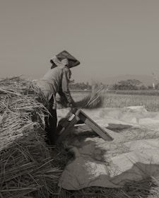 A person wearing a hat working in a field, engaged in threshing or processing crops. Surrounding the individual are bundles of straw and an inclined wooden apparatus that assists in the task. The expansive field and distant trees suggest a rural environment.