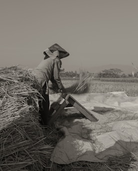 A person wearing a hat working in a field, engaged in threshing or processing crops. Surrounding the individual are bundles of straw and an inclined wooden apparatus that assists in the task. The expansive field and distant trees suggest a rural environment.