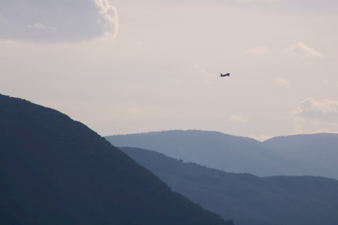 black bird flying over the mountain during daytime