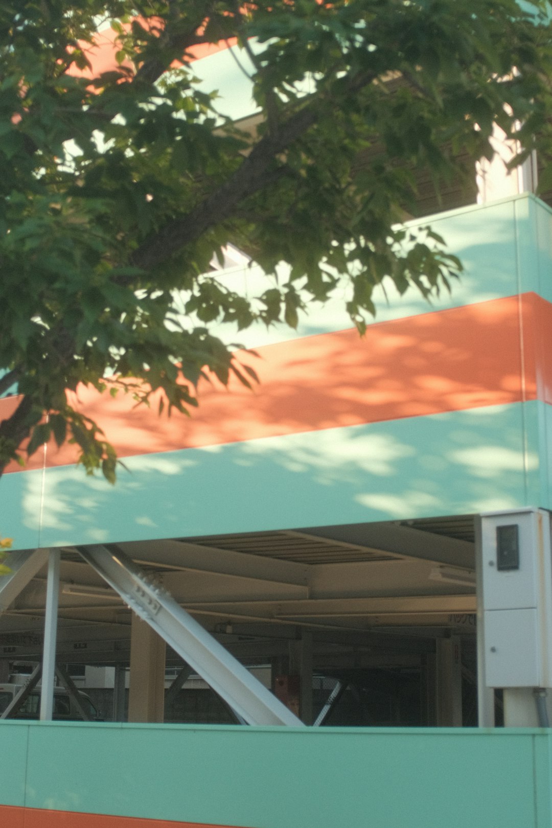 green tree beside white and orange building