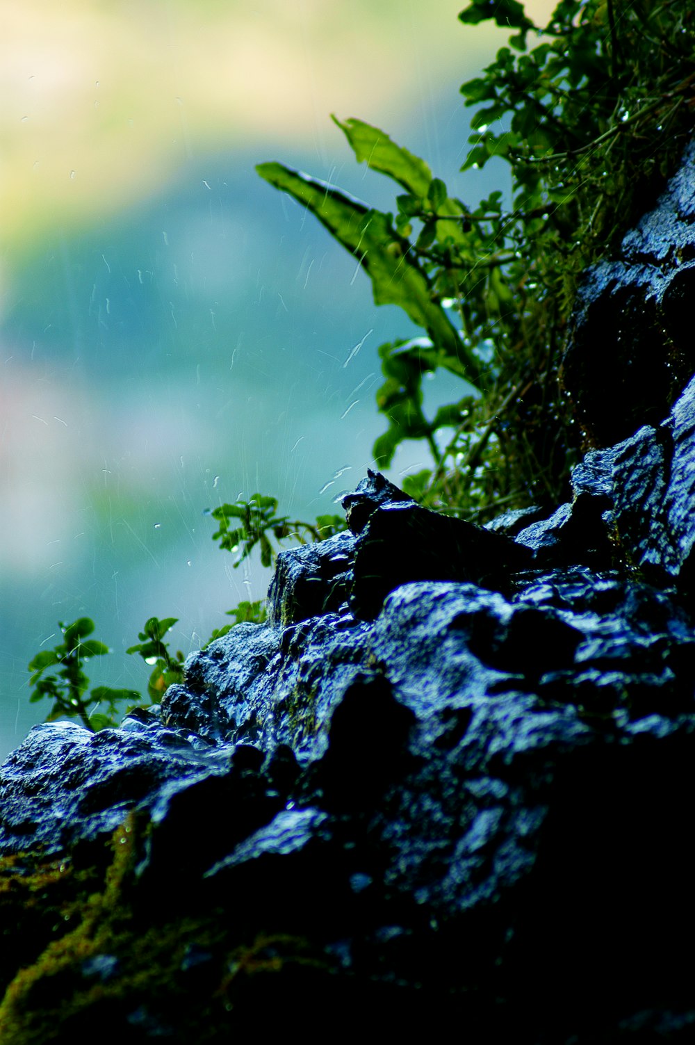 roccia grigia con erba verde durante il giorno