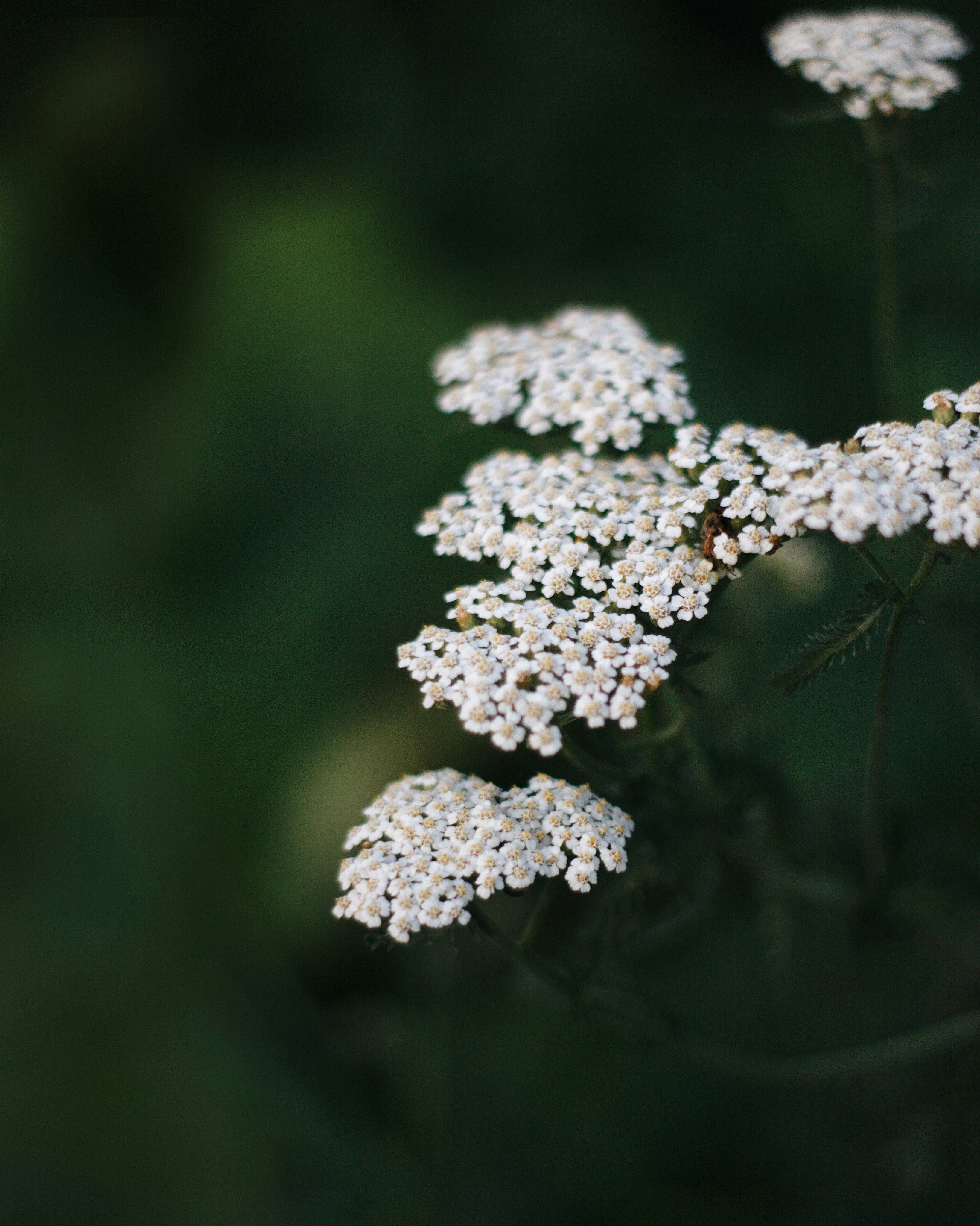 Photo by svitlana_rusak