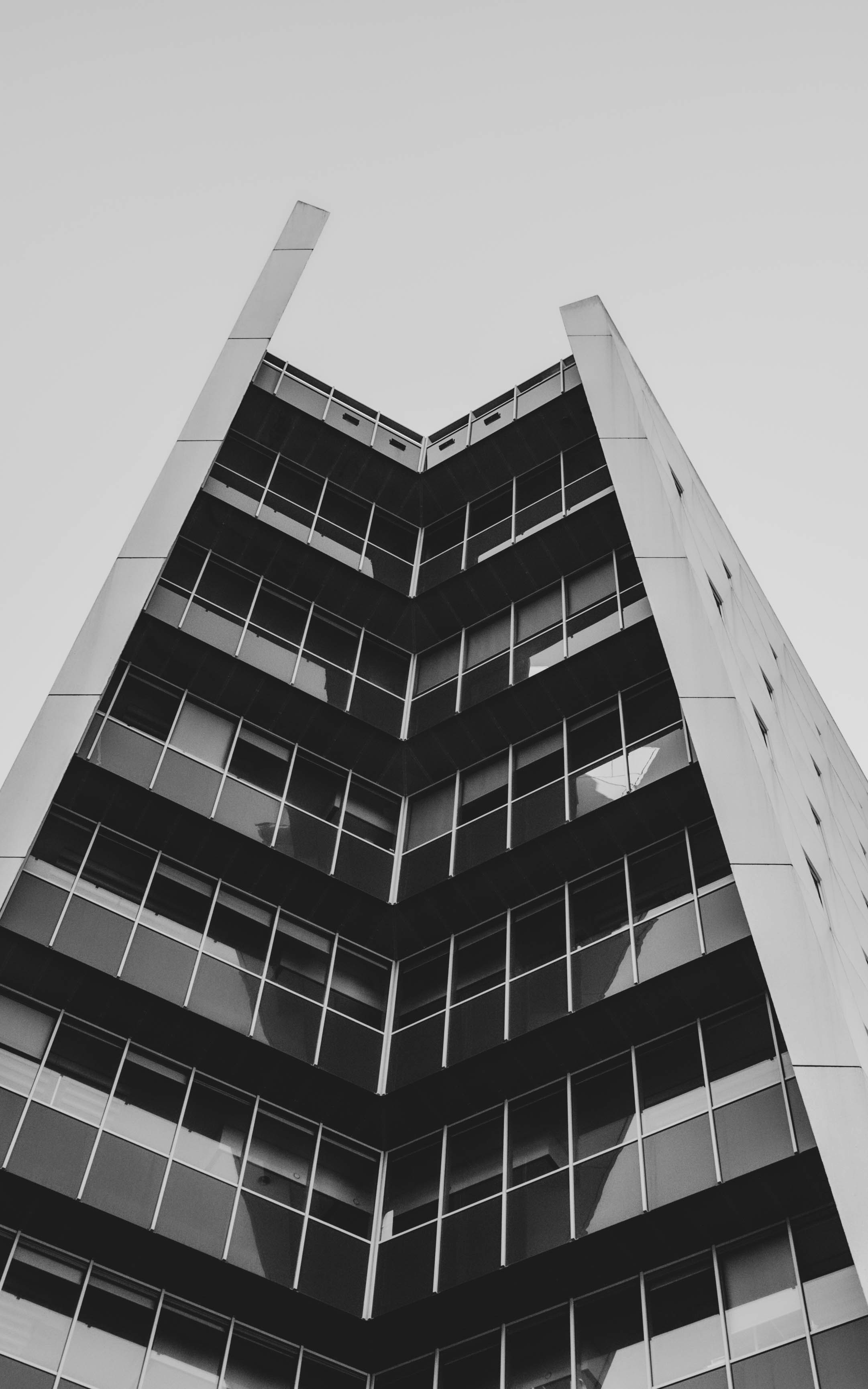 Photo by moisamihai092