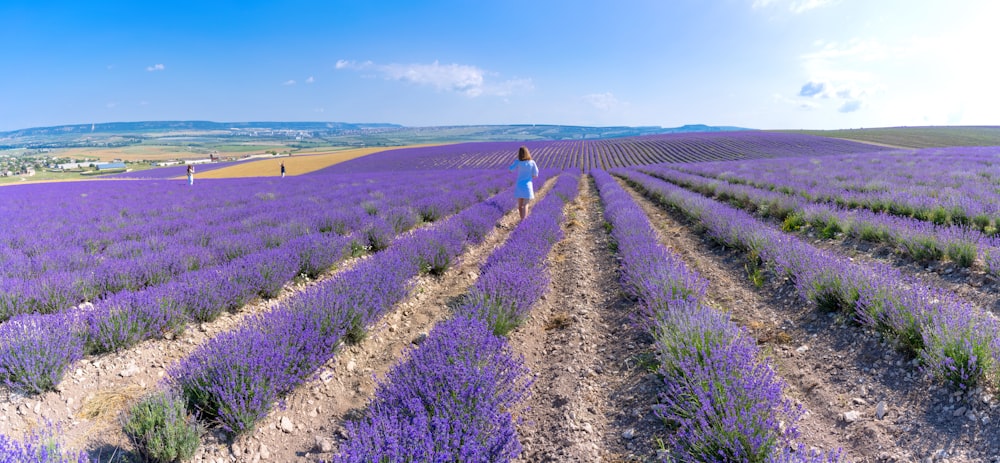 woman in white dress walking on purple flower field during daytime