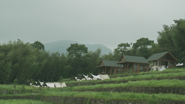 Two small wooden houses with green roofs are nestled amidst lush greenery and terraced fields. White tents or canopies are scattered in front of the structures. Dense trees surround the area, and a hazy mountain can be seen in the background.