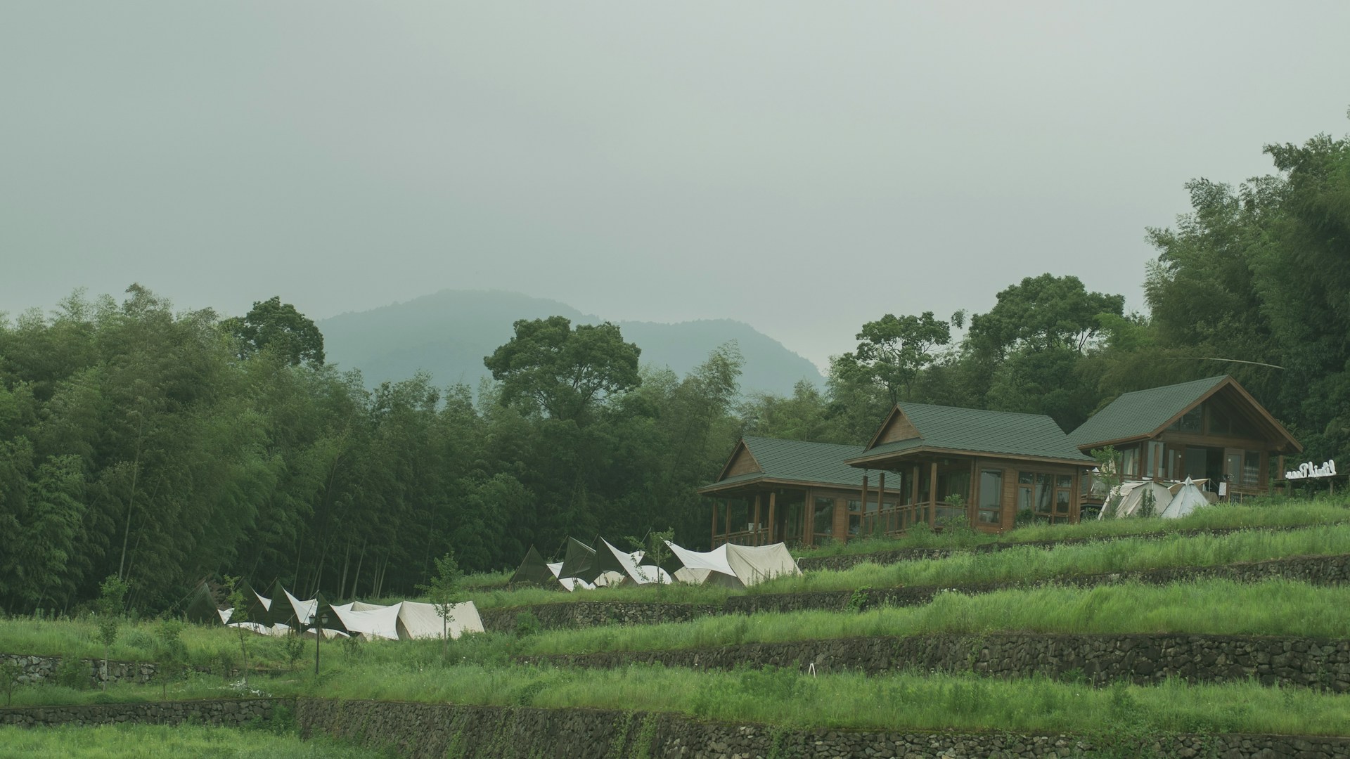 woman wearing yellow long-sleeved dress under white clouds and blue sky during daytime