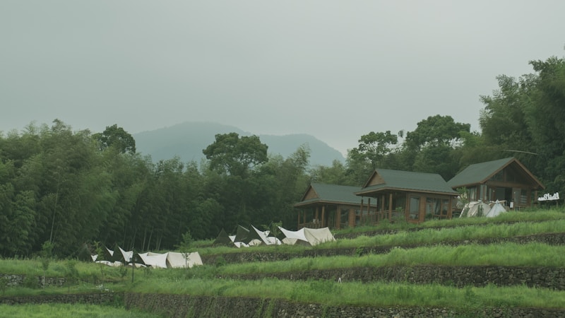 Exploring India: A Journey to Spiritual and Scenic Retreats