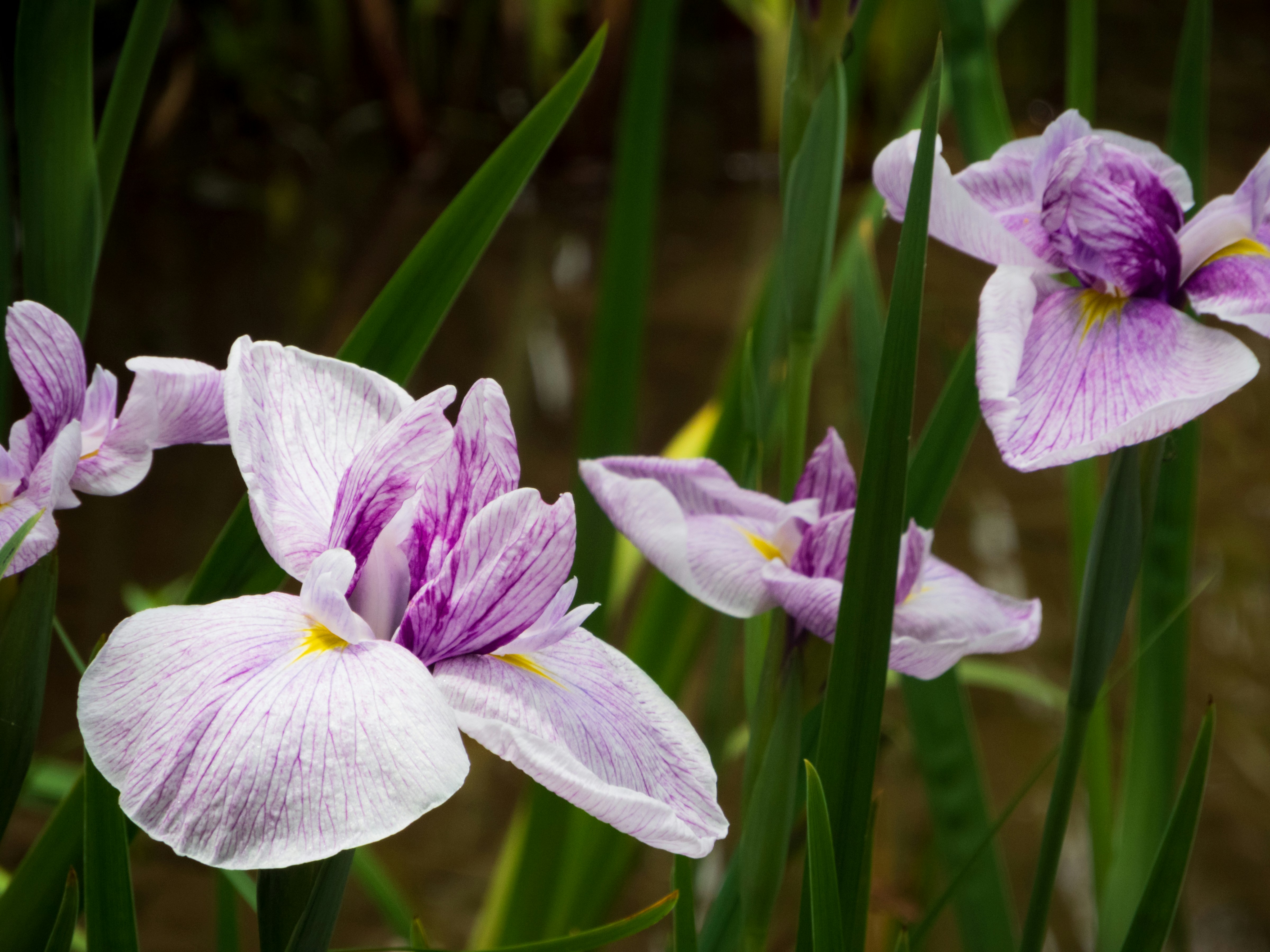 Photo by heppoko_yama