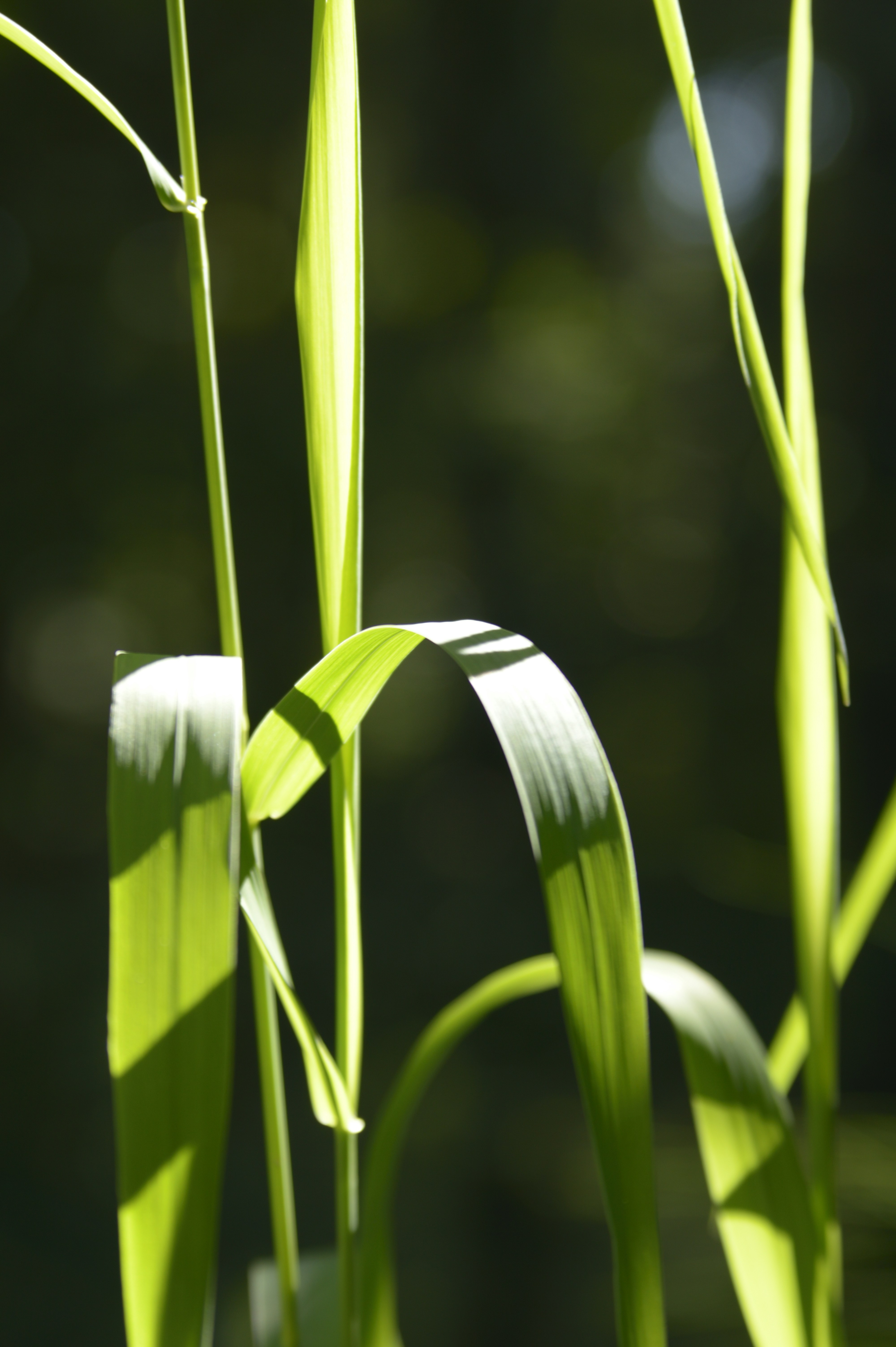 Photo by badpictures