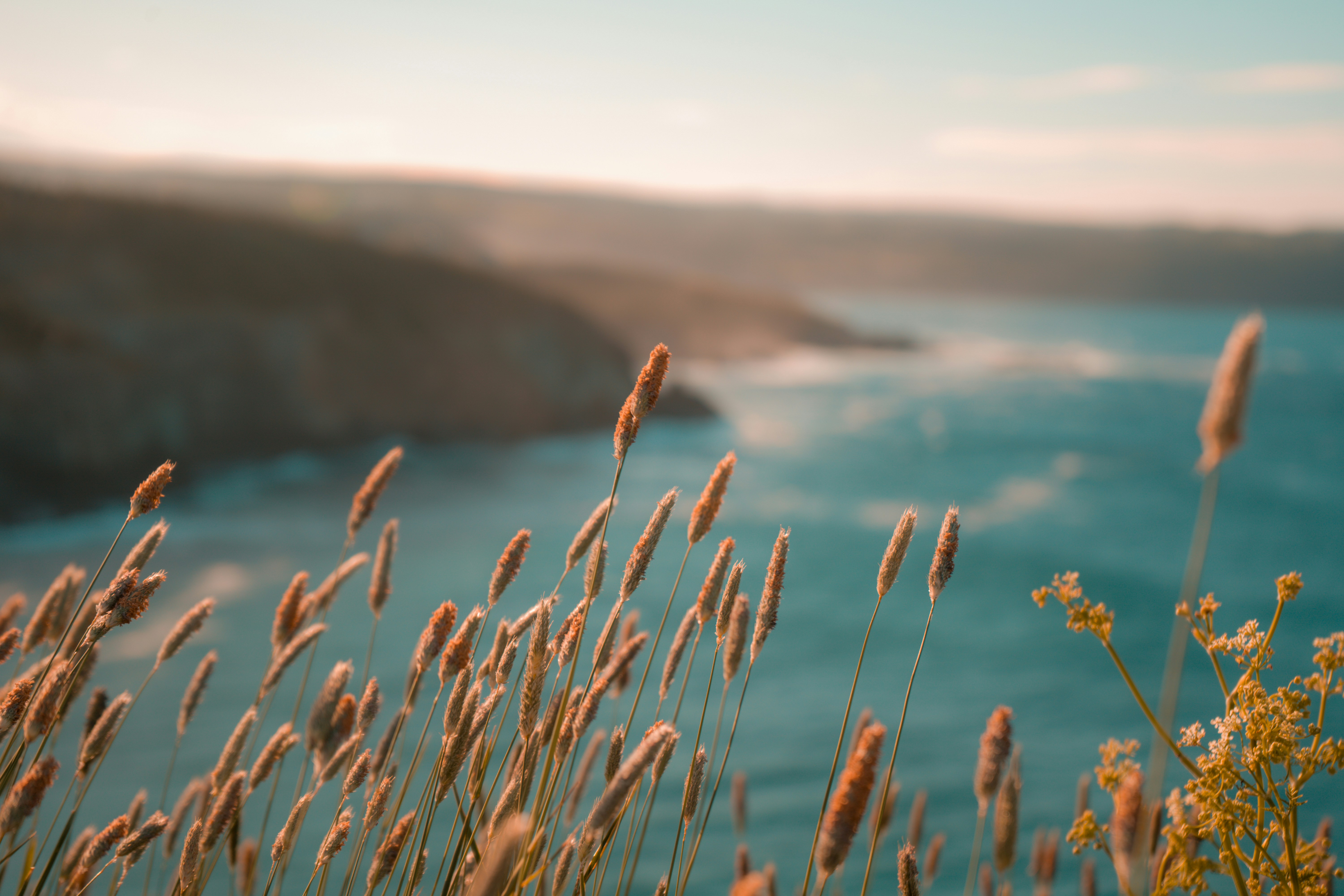 Photo by ibrahimtolu_