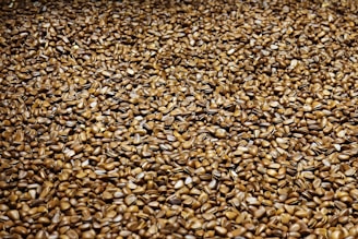 brown dried leaves on ground