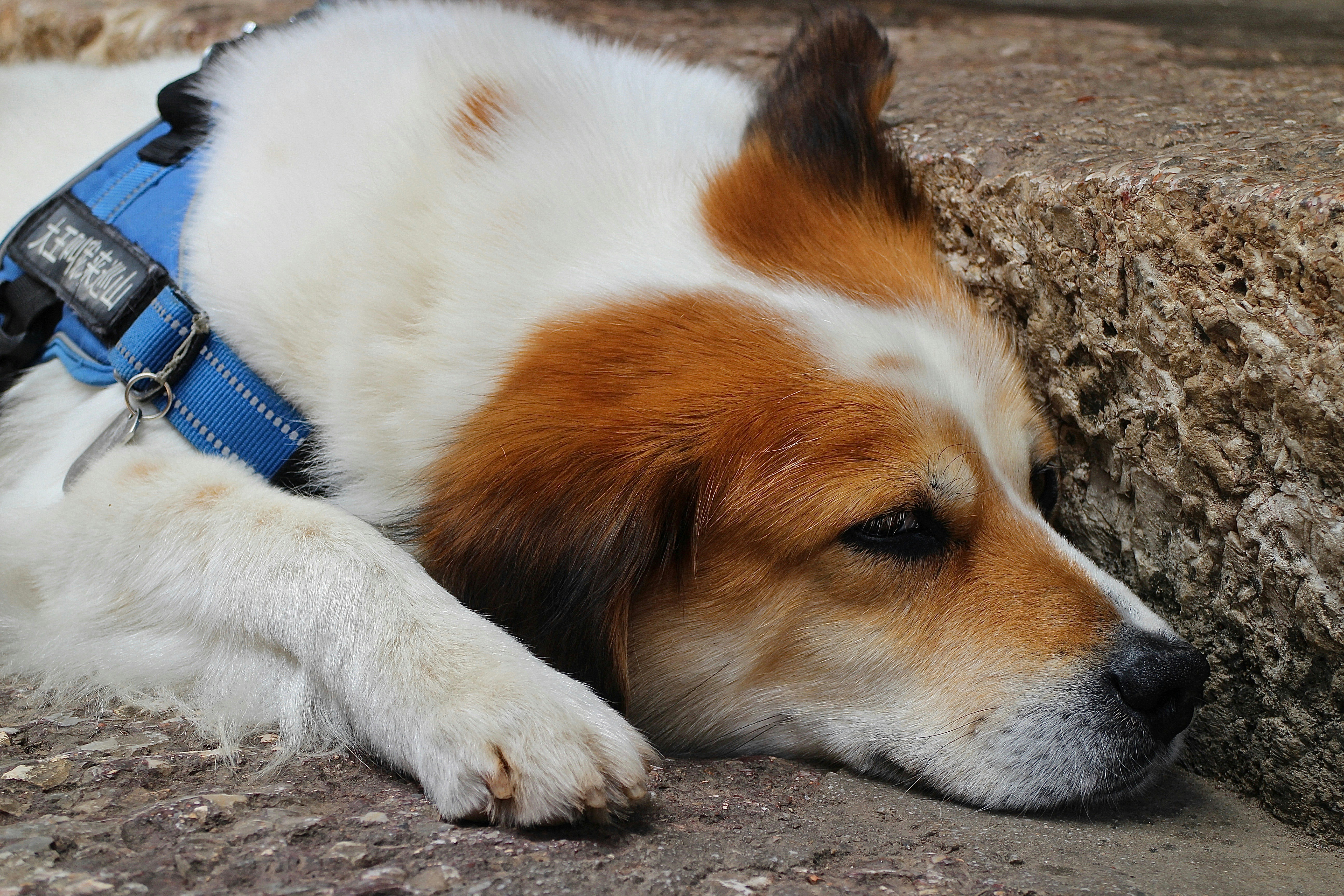 Photo by parsleyball