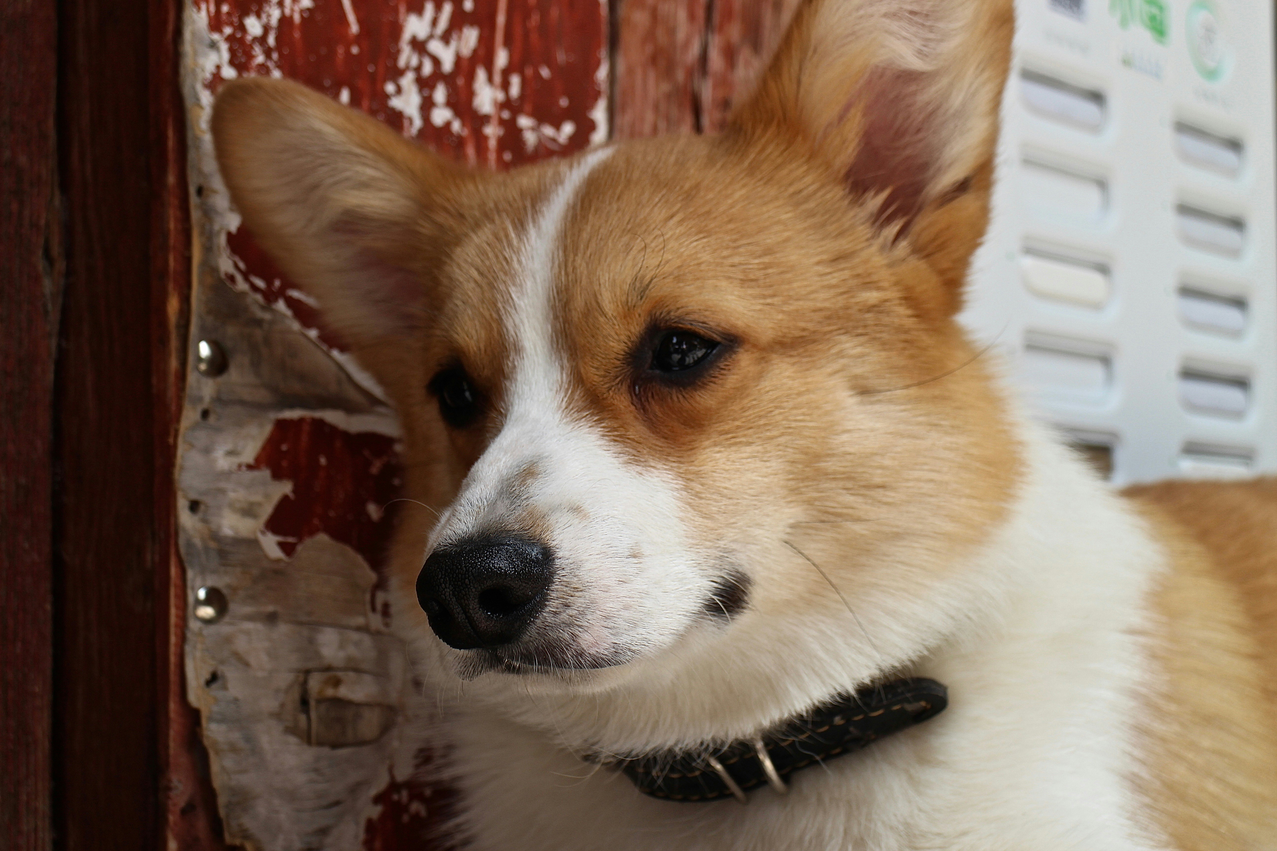 Photo by parsleyball