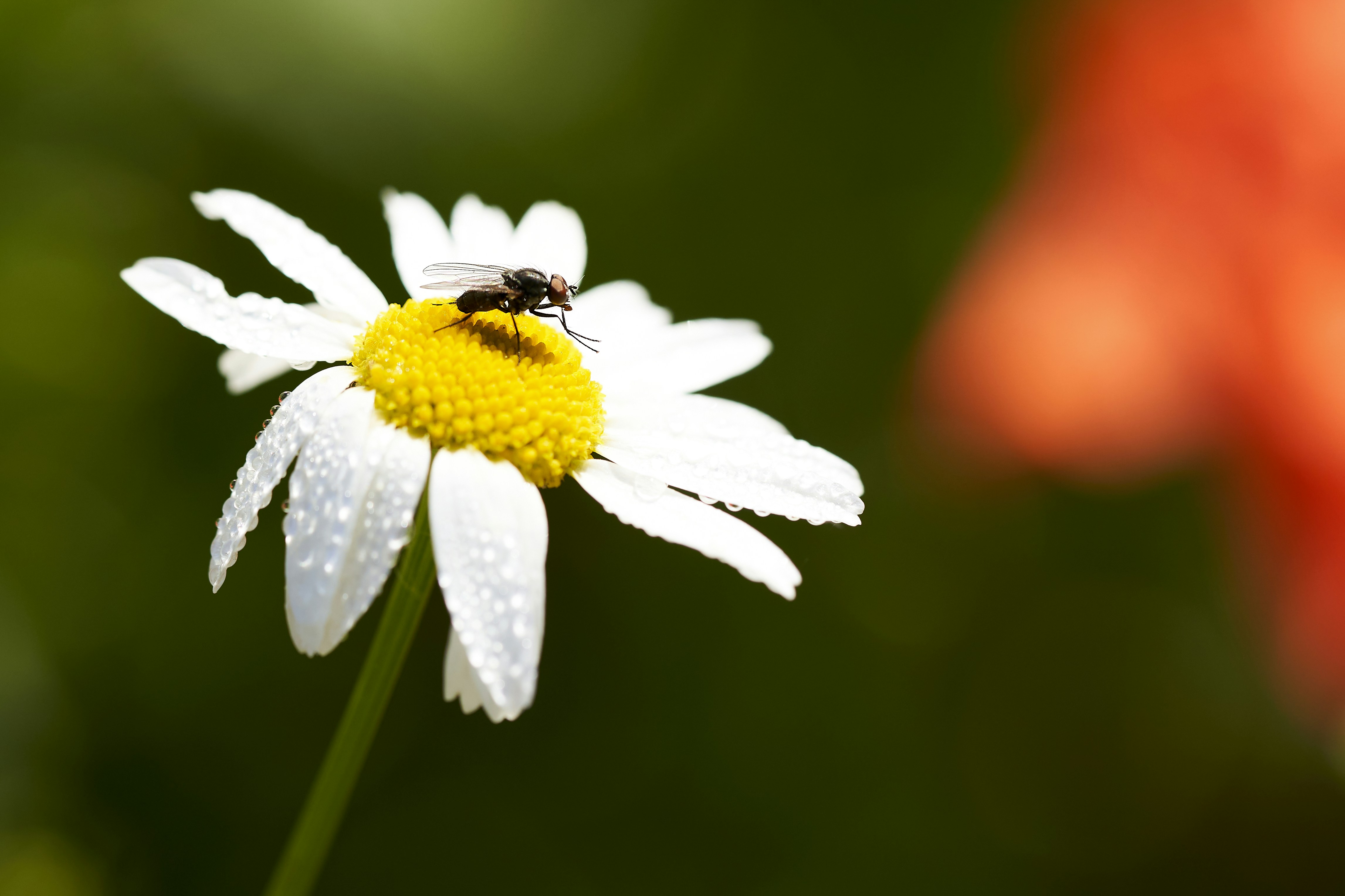 Photo by ingodoerrie