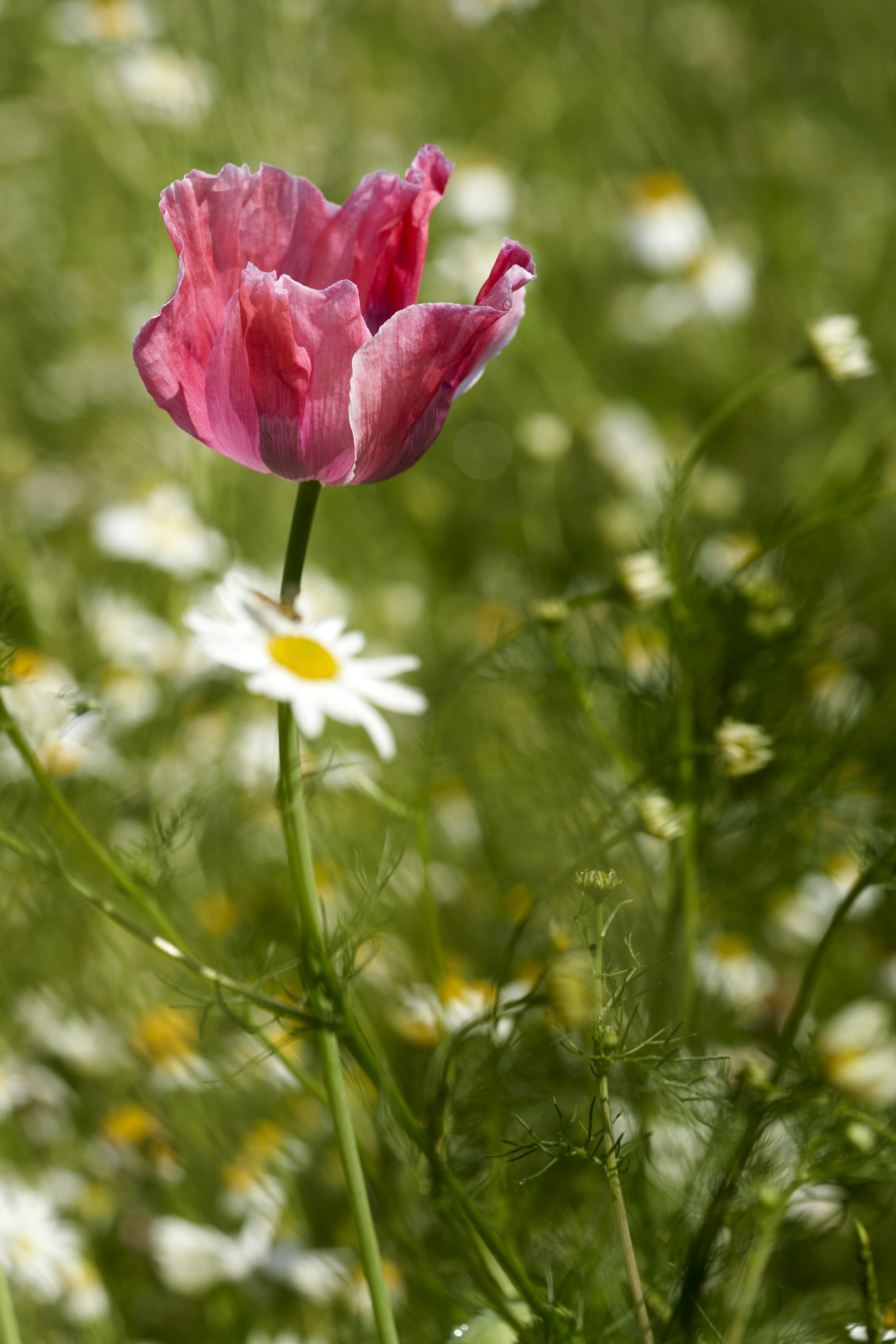 Photo by ingodoerrie