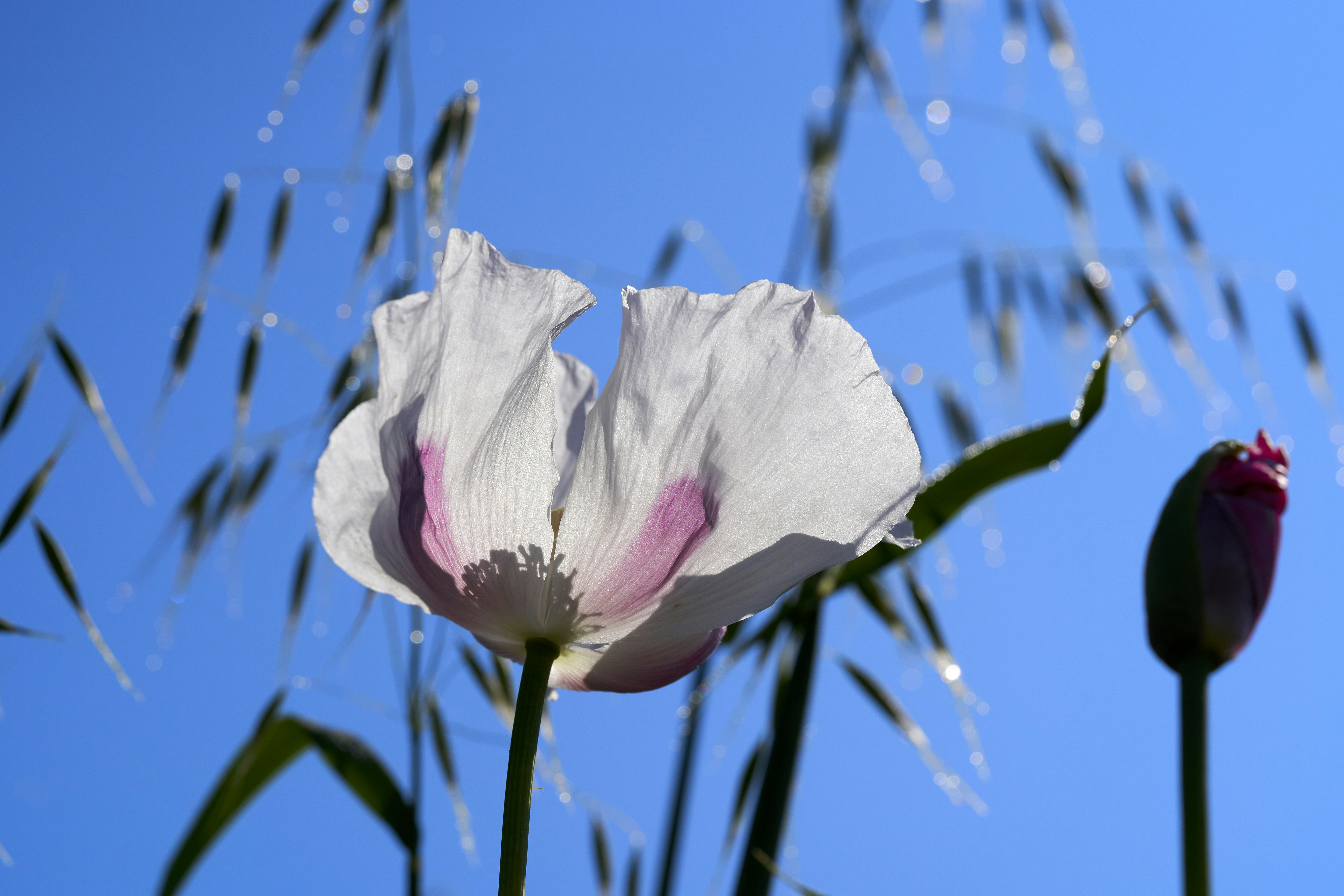 Photo by ingodoerrie