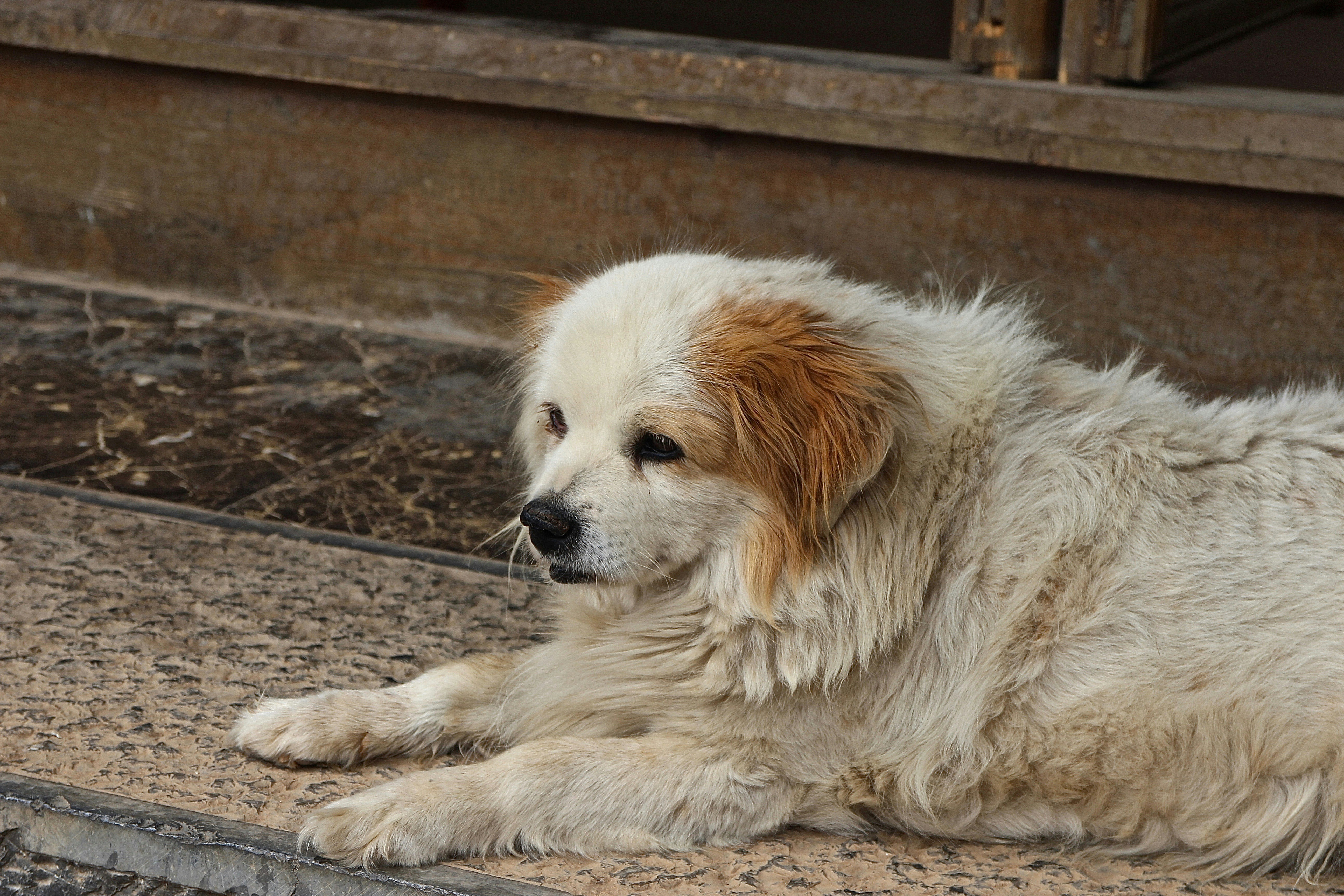 Photo by parsleyball