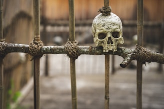 white skull on brown metal fence