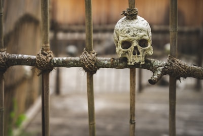 white skull on brown metal fence