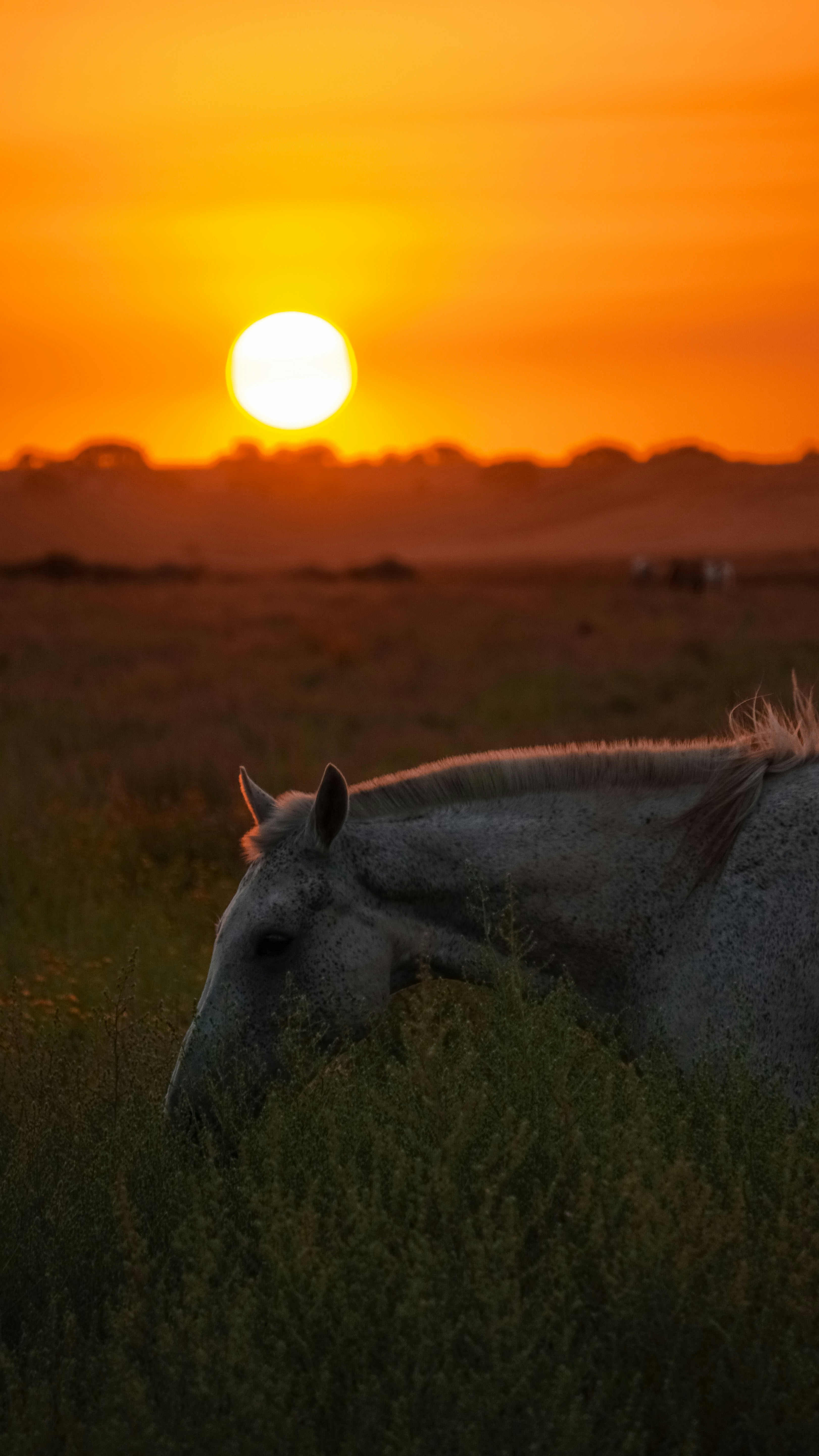 Photo by federicofaccipieri