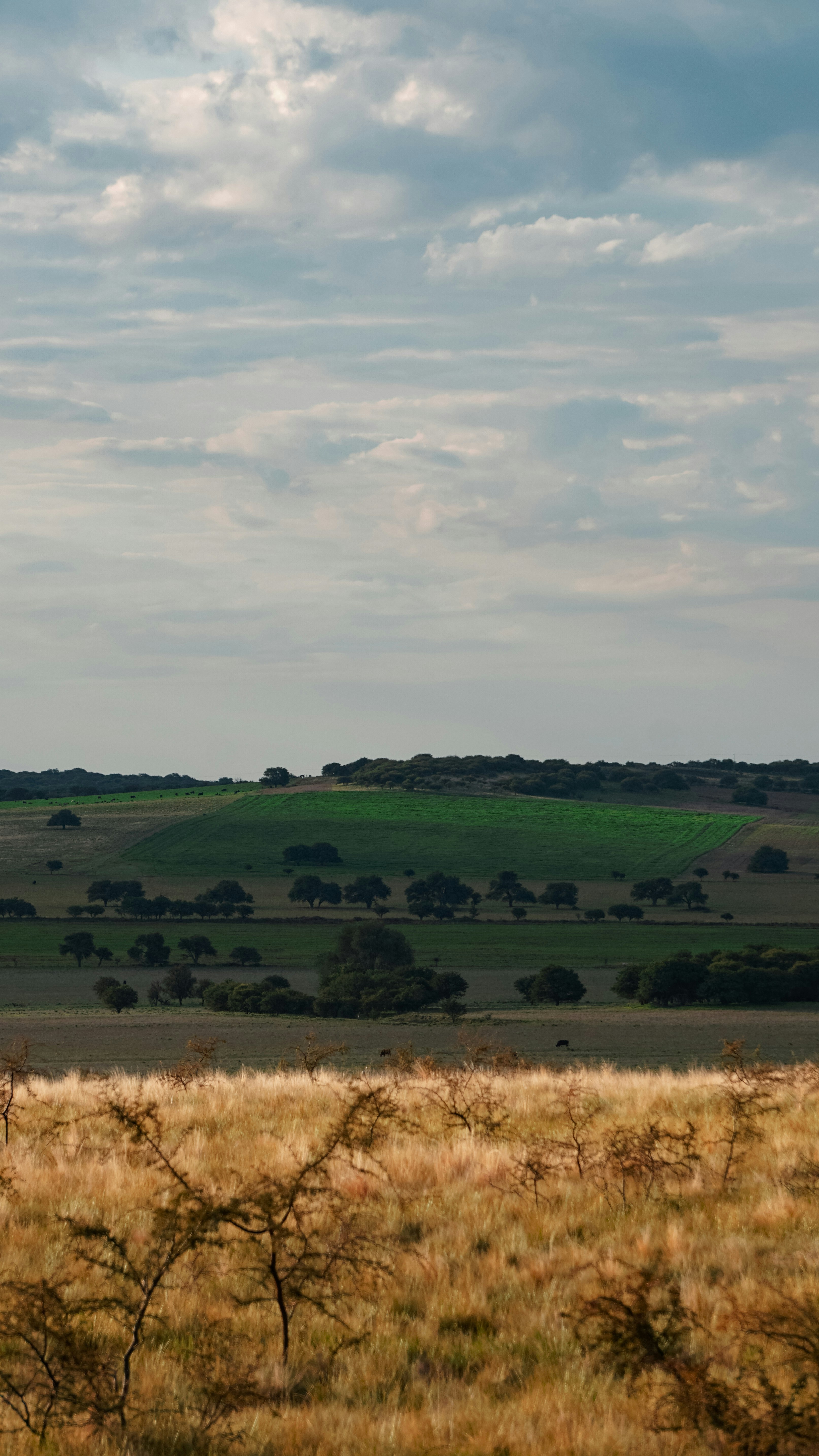 Photo by federicofaccipieri