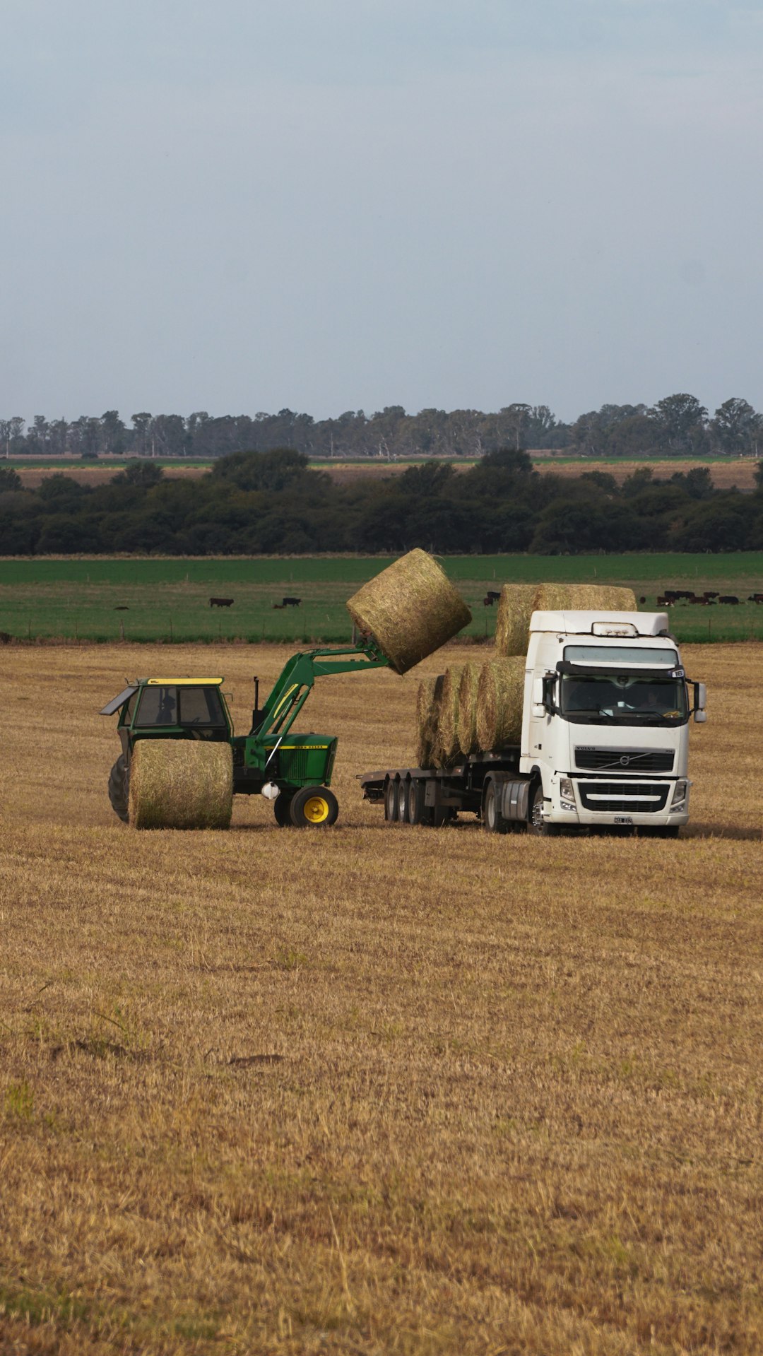 green and white utility truck on brown field during daytime