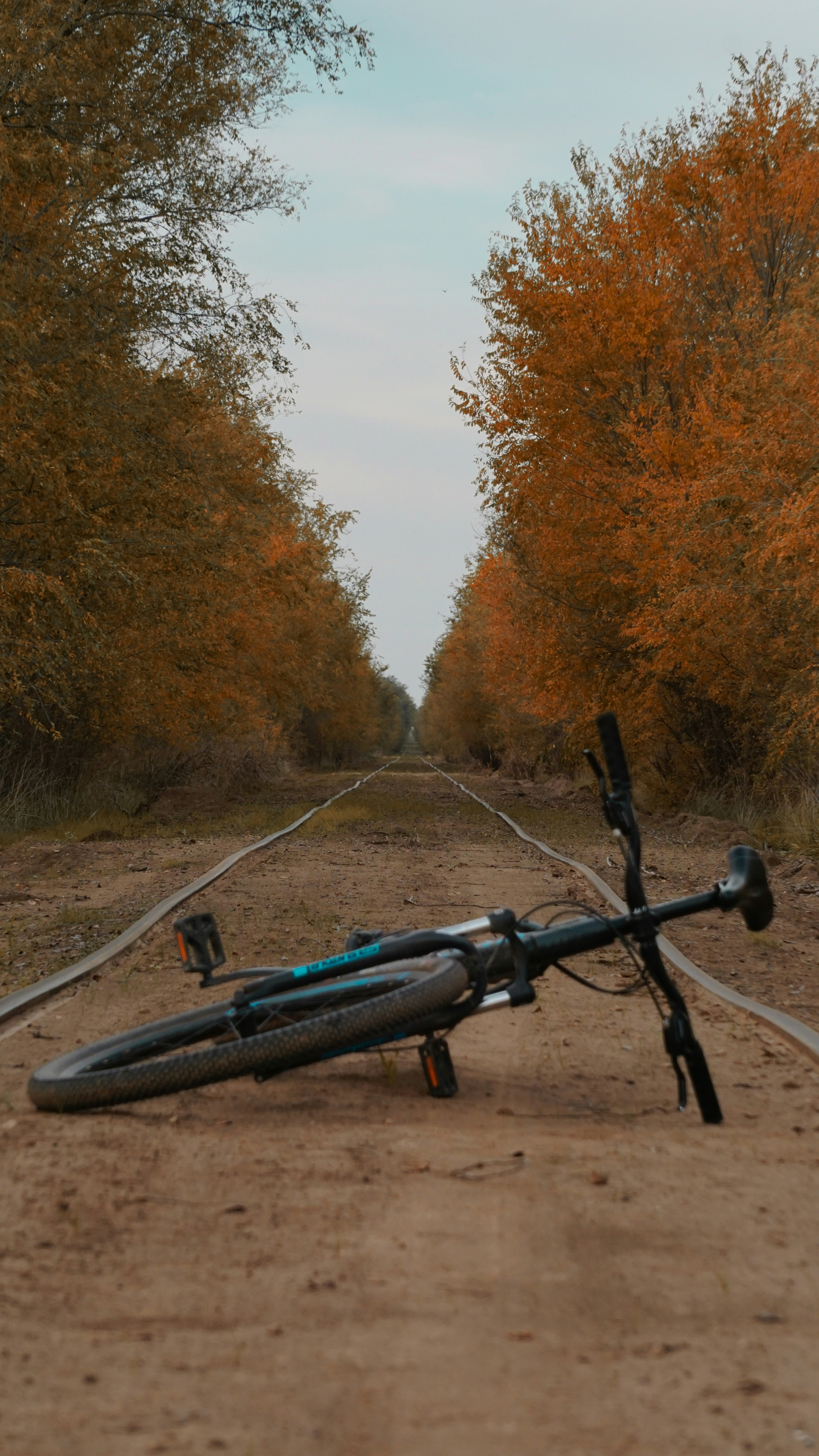 black bicycle on dirt road during daytime