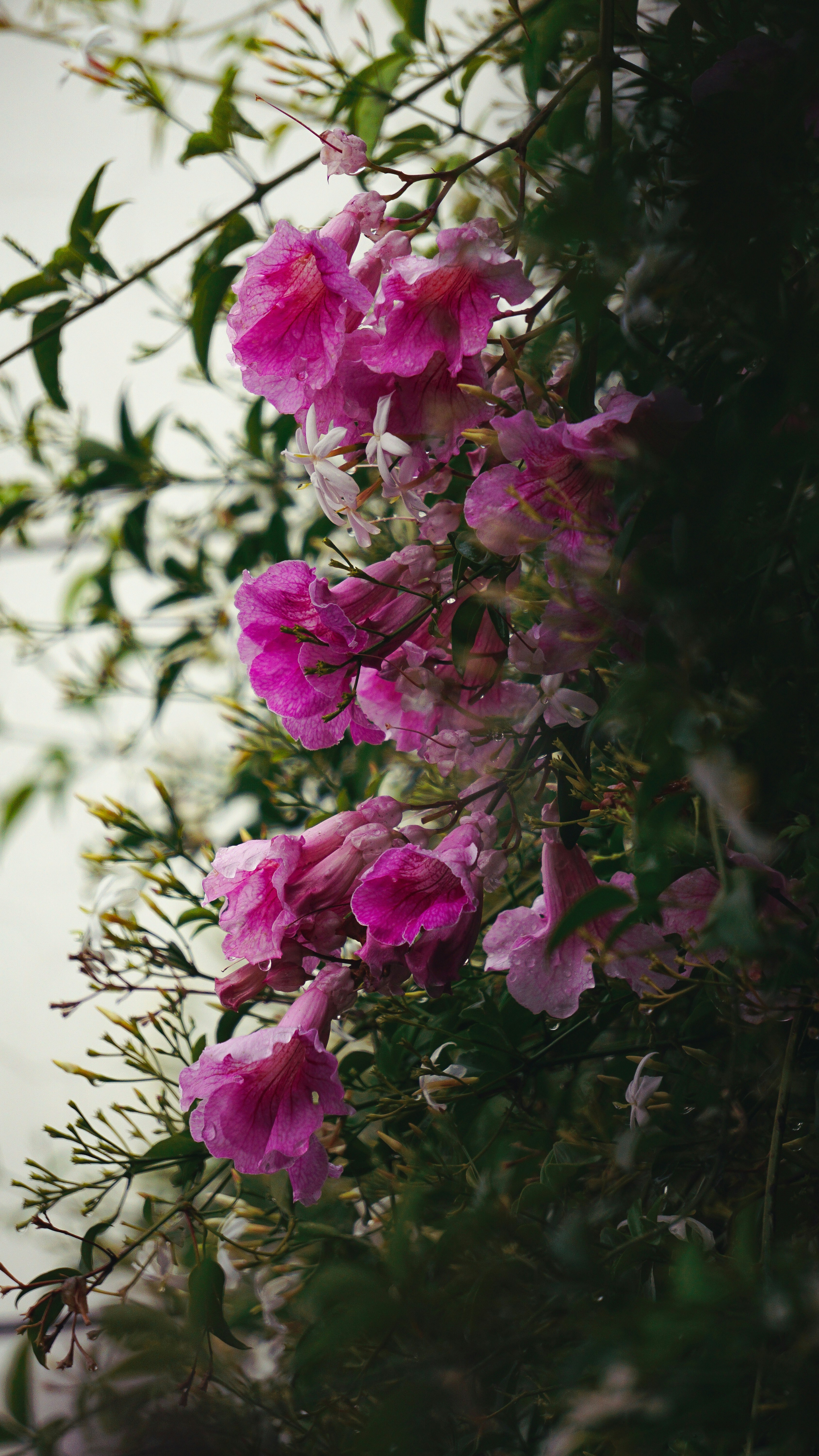 Photo by federicofaccipieri